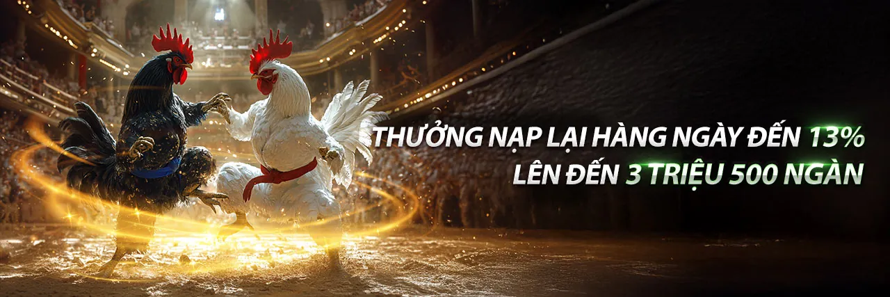 W9BET 2026: Cổng Chính Thức, Game Hấp Dẫn & Ưu Đãi Độc Quyền